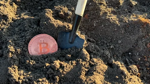 Bitcoin in soil after extraction. Сryptocurrency trading exchange. Stock-Footage 269902916