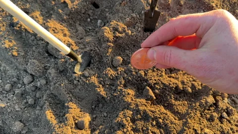Bitcoin in soil after extraction. Сryptocurrency trading exchange. Video stock 269903248