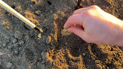 Bitcoin in soil after extraction. Сryptocurrency trading exchange. Stock Footage 269903525