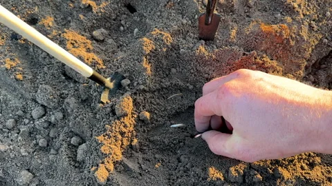 Bitcoin in soil after extraction. Сryptocurrency trading exchange. Stock Footage 269903694