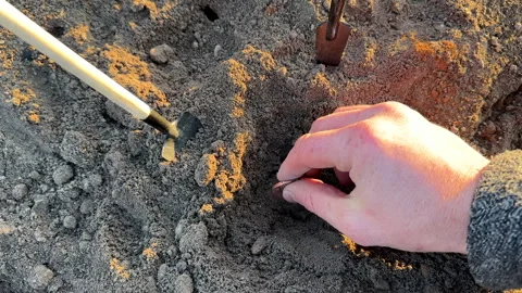 Bitcoin in soil after extraction. Сryptocurrency trading exchange. Stock Footage 269903786