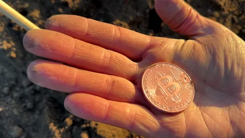 Bitcoin in soil after extraction. Сryptocurrency trading exchange. Stock Footage 269903869