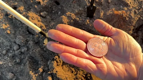Bitcoin in soil after extraction. Сryptocurrency trading exchange. Stock Footage 269904006