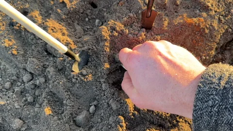 Bitcoin in soil after extraction. Сryptocurrency trading exchange. Stock Footage 269904131
