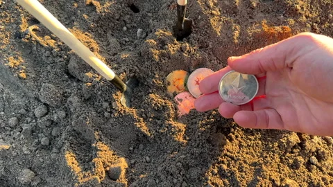 Bitcoin in soil after extraction. Сryptocurrency trading exchange. Stock Footage 269904509