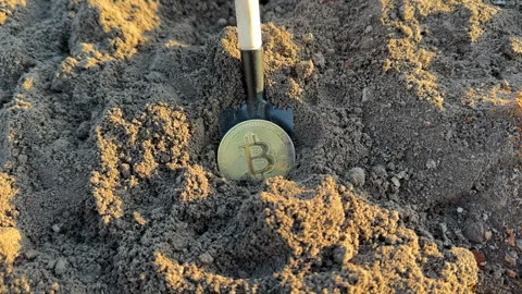Bitcoin in soil after extraction. Сryptocurrency trading exchange. Stock Footage 277264787