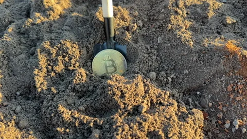 Bitcoin in soil after extraction. Сryptocurrency trading exchange. Stock Footage 277264806