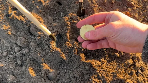 Bitcoin in soil in extraction. Ethereum, ETH coins mining in ground Stock Footage 269903372