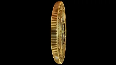 Bitcoin Spin Loop 4K Alpha Channel Stock Footage 82244096