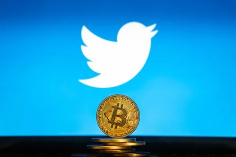 Bitcoin on a stack of coins with Twitter logo Stock Photos