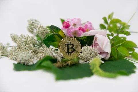 Bitcoin surrounded with flora Stock Photos