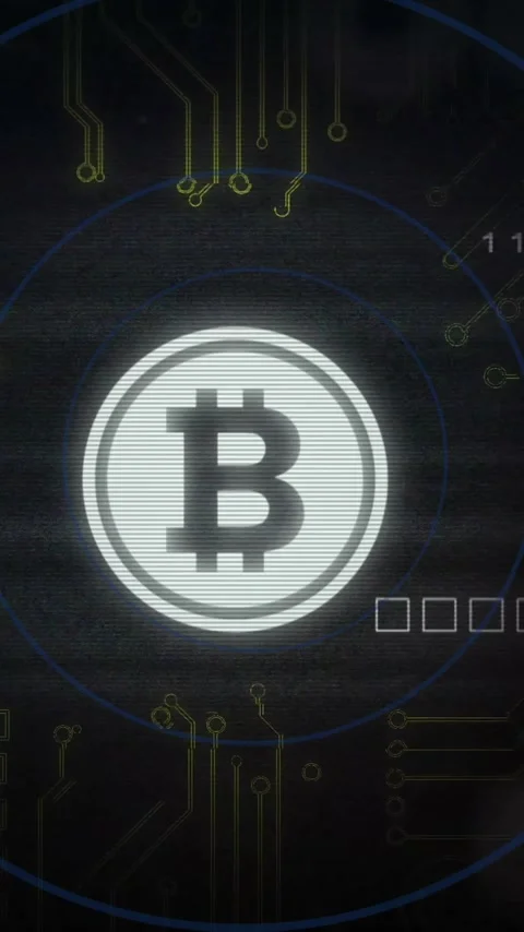 Bitcoin symbol with circuit lines and binary code, cryptocurrency animation Stock Footage 319976232