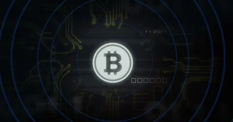 Bitcoin symbol with circuit lines and binary code, cryptocurrency animation Stock Footage 331073439