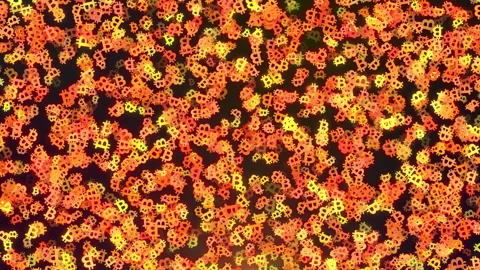 Bitcoin Symbols Loop Stock Footage 210274756