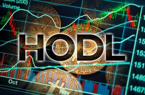Bitcoin trading market data chart and hodl word. virtual cryptocurrency conce Stock Illustration