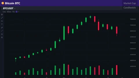 Bitcoin Trading Platform Candlestick Chart - Crypto Exchange UI, 4K Loop Stock Footage 341852282