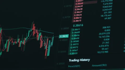 Bitcoin Trading with Price Evolution, Cryptocurrency Exchange Chart Online Stock Footage 171826665