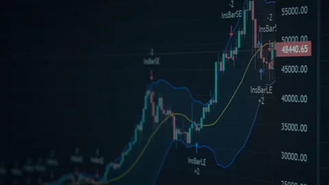 Bitcoin Trading with Price Evolution, Cryptocurrency Exchange Chart Online Stock Footage 231790933