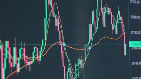 Bitcoin Trading with Price Evolution Stock Footage 255731654