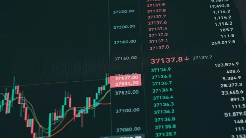 Bitcoin Trading with Price Evolution Stock Footage 263062278