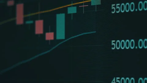 Bitcoin Trading With Price Evolution, Graph of Crypto Trading Online on Screen Stock Footage 231863182