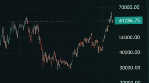 Bitcoin Trading With Price Evolution, Graph of Crypto Trading Online on Screen Stock Footage 235154263
