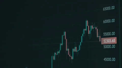 Bitcoin Trading With Price Evolution, Graph of Crypto Trading Online on Screen Stock Footage 236922034