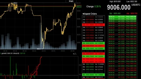 Bitcoin on trading screen as it reaches for $9000 in incredible bull run Stock Footage 82747789