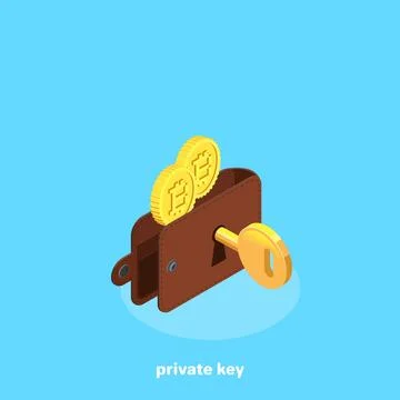 Bitcoin wallet and encrypted key on a blue background, isometric image Stock Illustration