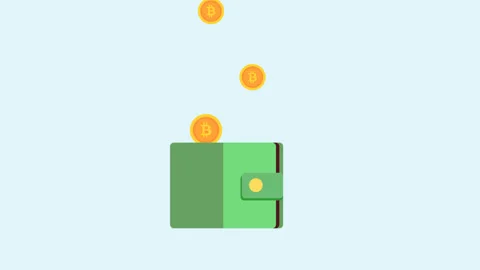 Bitcoin wallet animation Stock Footage 99334445