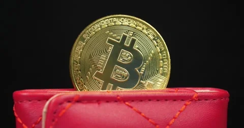 Bitcoin in wallet. Blockchain technology, bitcoin mining concept. Cryptocurrency Stock Footage 330259723
