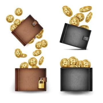 Bitcoin Wallet Set Vector. Bitcoin Gold Coins. Realistic 3d Brown And Black Illustrazione stock