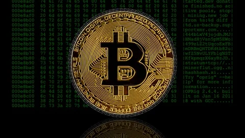 Bitcoin with wireframe effect rotating against a crypto miner hex dump. Stock Footage 105188098