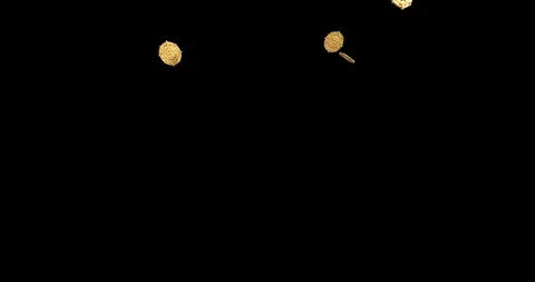 Bitcoins falling 3d animation in 4k Stock Footage 101037702