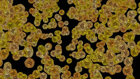 Bitcoins falling animation background Stock-Footage 146876482