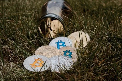 Bitcoins in green grass Stock Photos