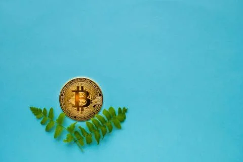 Bitcoins with leafs on blue background Stock Photos