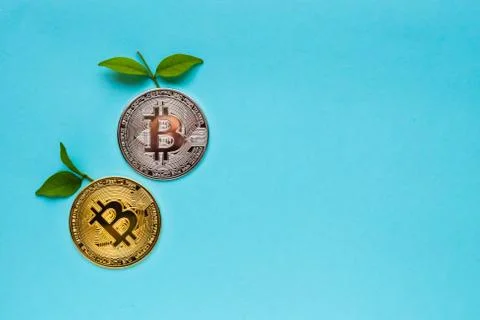Bitcoins with leafs on blue background Stock Photos