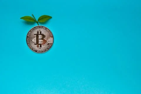 Bitcoins with leafs on blue background Stock Photos