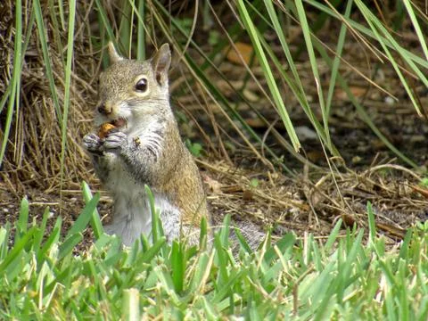 A Bite to Eat Stock Photos