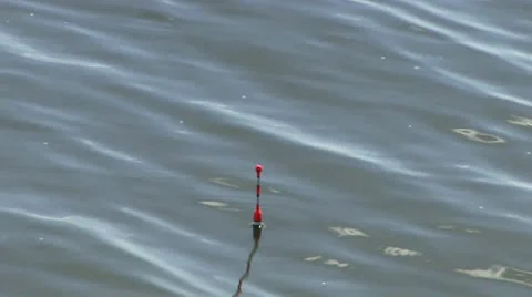 Bite Stock Footage 24712109