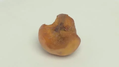 Bite Marks Found on a Soft and Ripe Fruit That Looks Appealing and Delicious to Видео 282379256