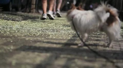 Bite or not ? Stock Footage 11444915