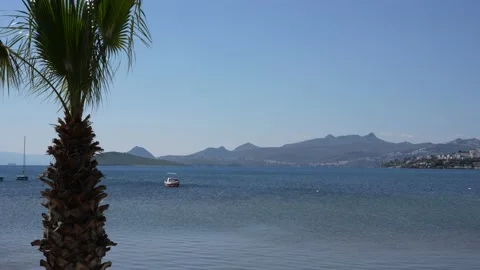 Bitez Beach View of Coastline with Boat and Tree, Bodrum, Turkey, 4K 库存影片 171851833
