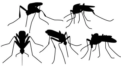 Biting mosquitoes Stock Illustration