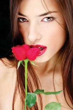 Biting red reose Stock Photos