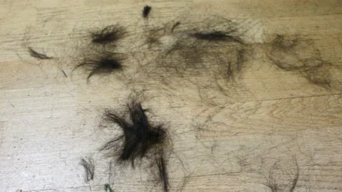Bits of dark hair lying on the floor. Top down view, real time, indoors, natural Stock Footage 92518955