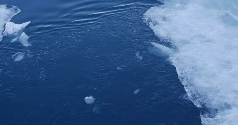 Bits of ice and ice sheet in Samarinvagen Bay in Svalbard, Norway (Spitsbergen) Stock Footage 212389116