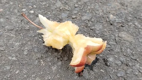 Bitten apple discarded on rough asphalt pavement, representing food waste Stock Footage 337913581