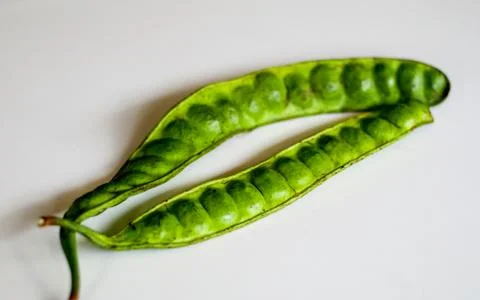 Bitter bean Stock Photos
